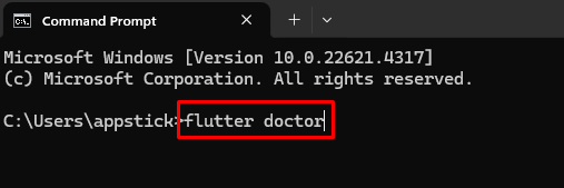 Flutter Doctor Command